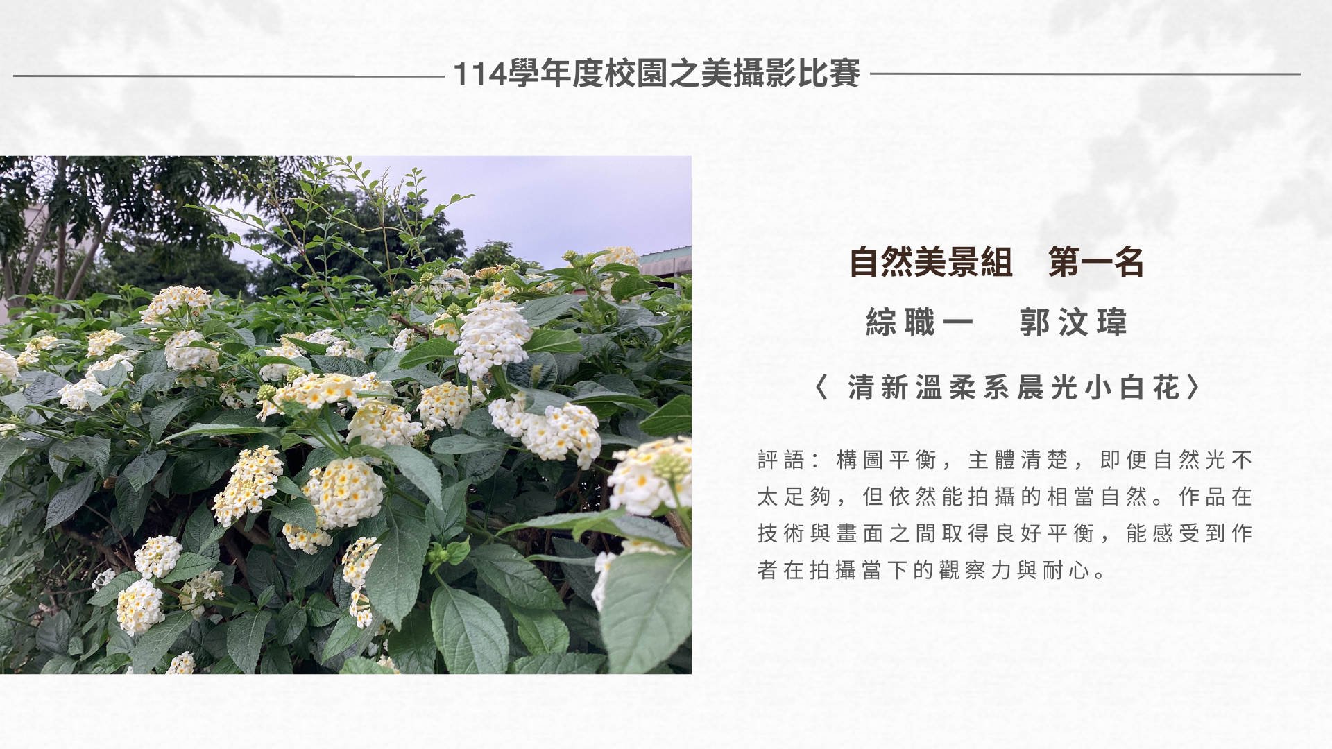 114-1校園之美攝影比賽成績公告圖片