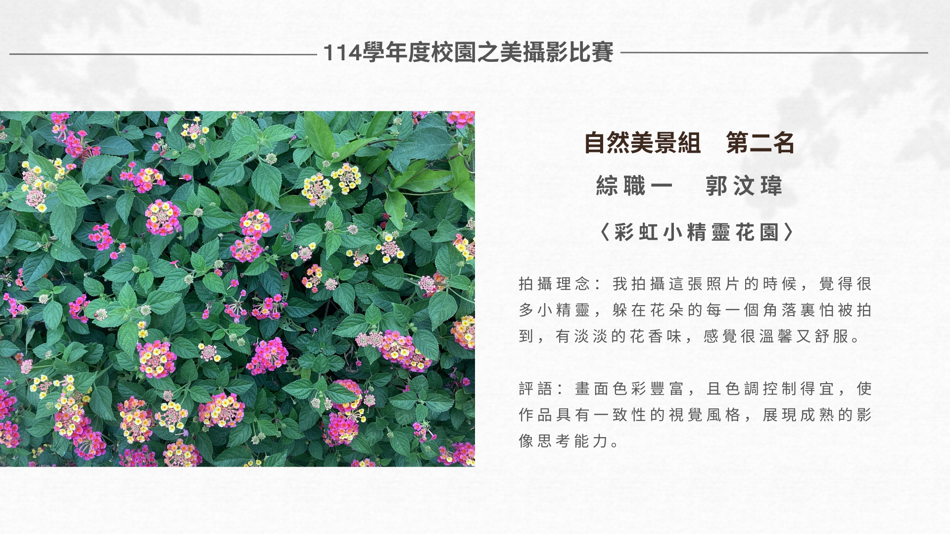 114-1校園之美攝影比賽成績公告圖片