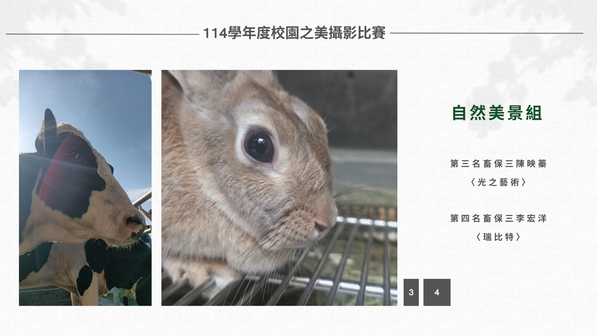 114-1校園之美攝影比賽成績公告圖片